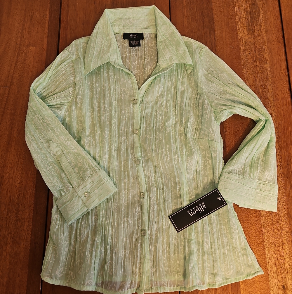 Allison Morgan Mint Green Sheer Button-Down Blouse